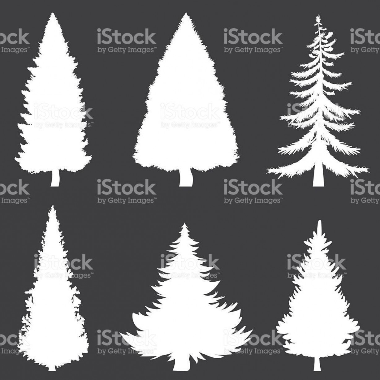 1228x1228 Best Vector Black And White Nature Trees Evergreen Vector Design