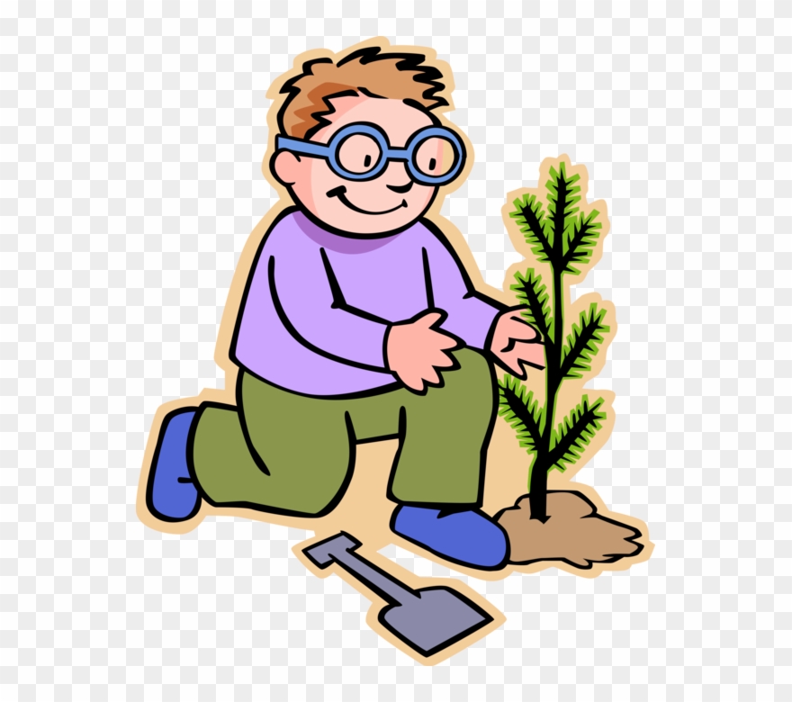 880x780 Boy Plants Evergreen Tree Vector Image Illustration