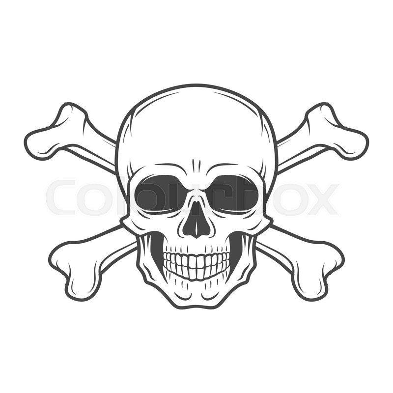 800x800 Human Evil Skull Vector Pirate Stock Vector Colourbox