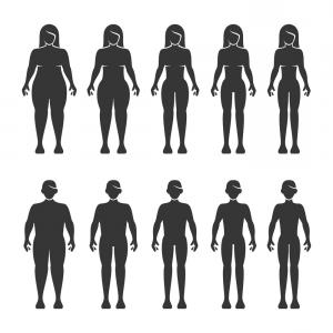 300x300 Fat Fit Evolution Side View Vector Wallkeeper