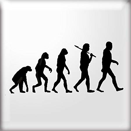 450x450 Huge Collection Of 'evolution Silhouette' Download More Than