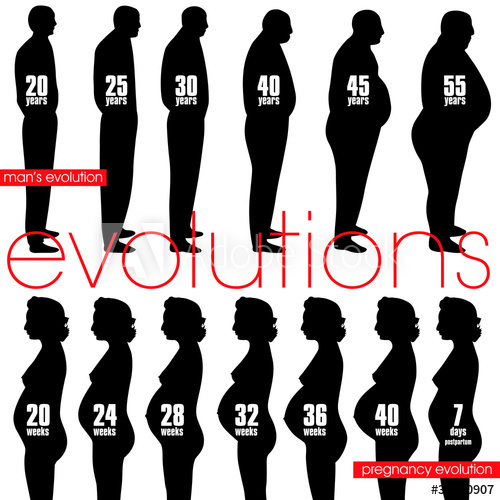 500x500 Men Obesity Evolution And Pregnancy Stages