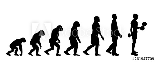 500x200 Painted Theory Of Evolution Of Man Vector Silhouette Of Homo