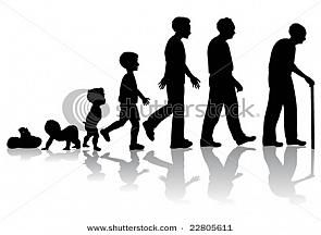 295x216 Stages Of Evolution Of Man Stock Vector Illustration Of Various