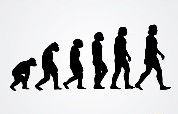 Human Vectors 620x396 Human Vectors