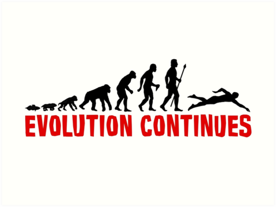 Huge Collection Of 'evolution Silhouette' Download More Than 549x413 Huge Collection Of 'evolution Silhouette' Download More Than