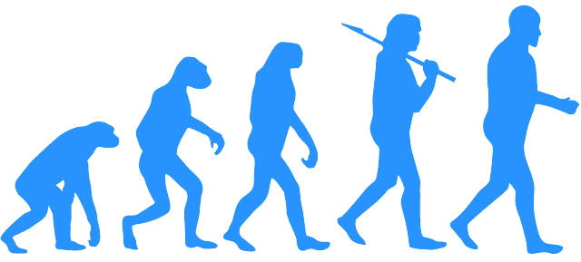 Human Evolution 640x289 Human Evolution