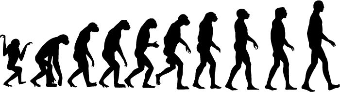 The Course Of Human Evolution Material 700x191 The Course Of Human Evolution Material