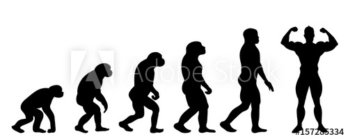 Vector Silhouette Of Evolution Of Man 500x200 Vector Silhouette Of Evolution Of Man