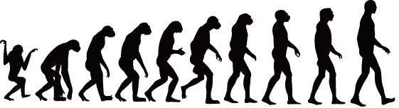 Elements Of Process Of Human Evolution Vector Free Vector 561x153 Elements Of Process Of Human Evolution Vector Free Vector