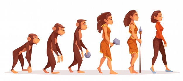 Evolution Vectors, Photos And Free Download 626x278 Evolution Vectors, Photos And Free Download