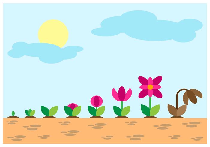 Grow Up Evolution Vector 700x490 Grow Up Evolution Vector