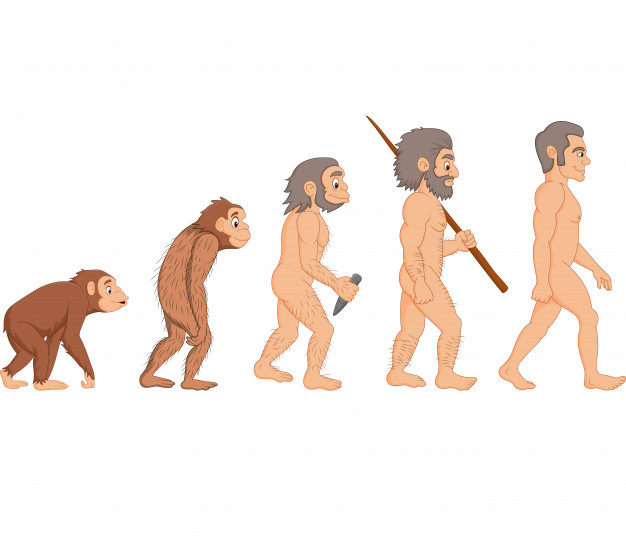 Cartoon Human Evolution Vector Premium Download 626x536 Cartoon Human Evolution Vector Premium Download