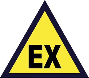 Ex Logo Vector