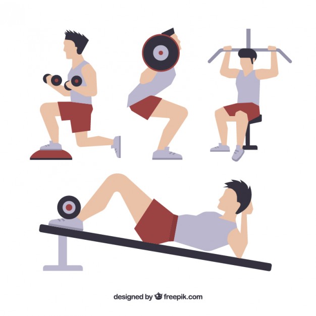 626x626 Men Practicing Exercise Vector Free Download