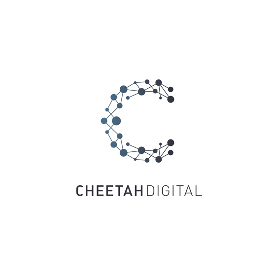 Vector Capital Investments Cheetah Digital 560x560 Vector Capital Investments Cheetah Digital