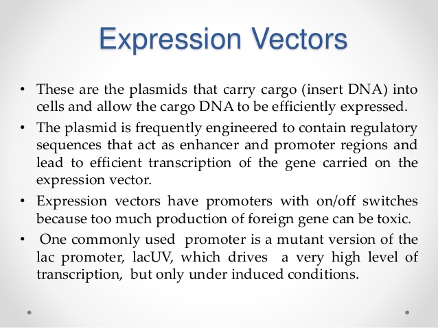 638x479 Expression Vectors
