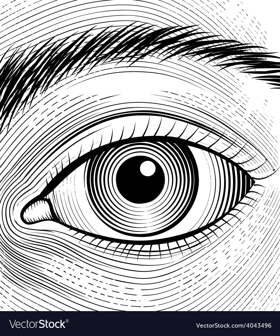 Eye Vector 899x1080 Eye Vector