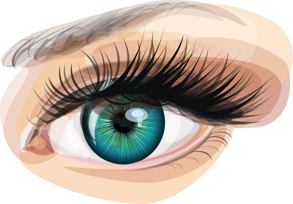 Eye Realistic Free Vector In Adobe Illustrator 600x417 Eye Realistic Free Vector In Adobe Illustrator