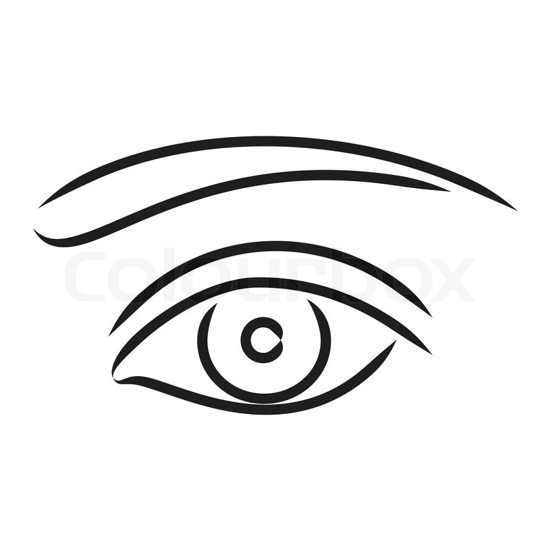 Human Eye 800x800 Human Eye