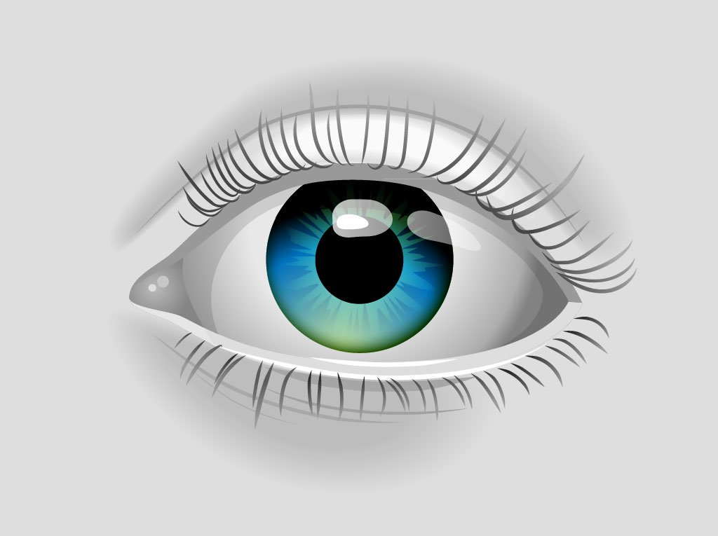 Realistic Vector Eye Vector Art Graphics 1024x765 Realistic Vector Eye Vector Art Graphics