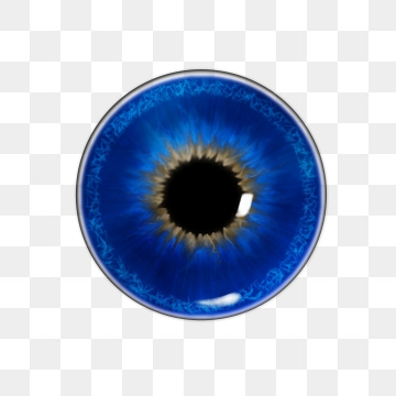 360x360 Eye Pupil Png, Vector, And Clipart With Transparent
