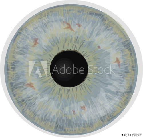 500x483 Eye Iris