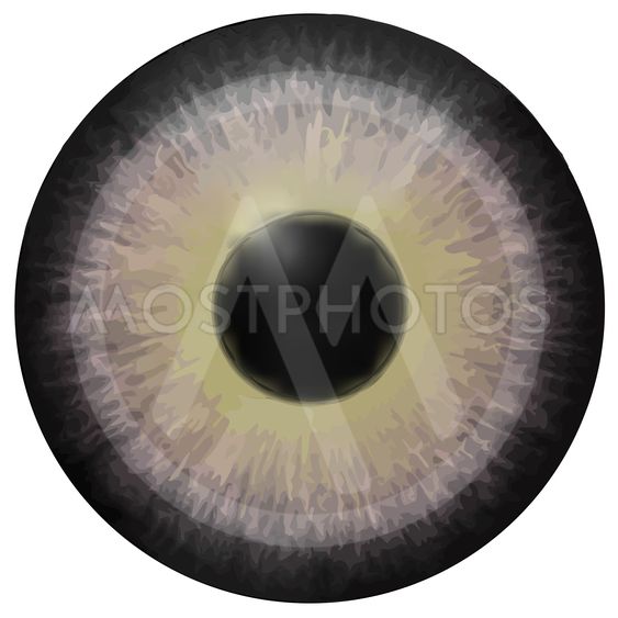 563x563 Eye Iris Vector Texture