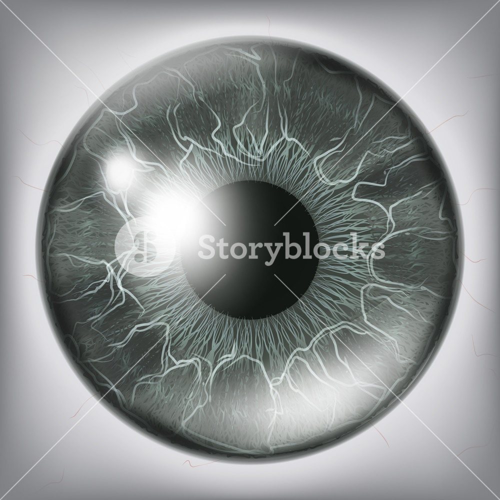 1000x1000 Human Eye Iris Close Up Vector Healthy Medical Concept