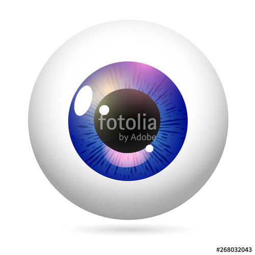 Human Eye Front View Close Up, Cornea, Retina, Pupil Purple Iris 500x500 Human Eye Front View Close Up, Cornea, Retina, Pupil Purple Iris