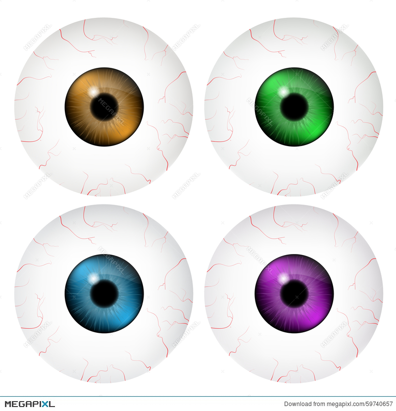 800x830 Image Of Realistic Human Eye Ball With Colorful Pupil, Iris