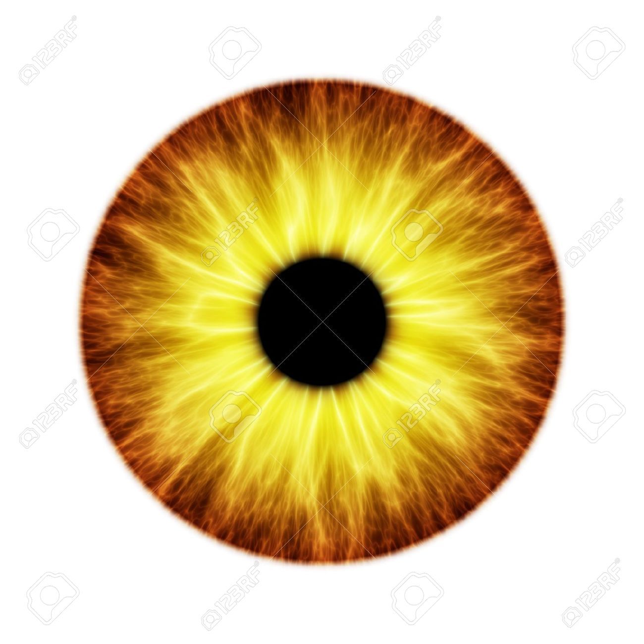 1300x1300 Image Result For Eye Iris Vector Eyes Eyes, Iris, Human Eye