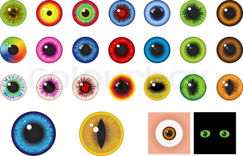 800x516 Multicolored Eyes, Iris And Pupil