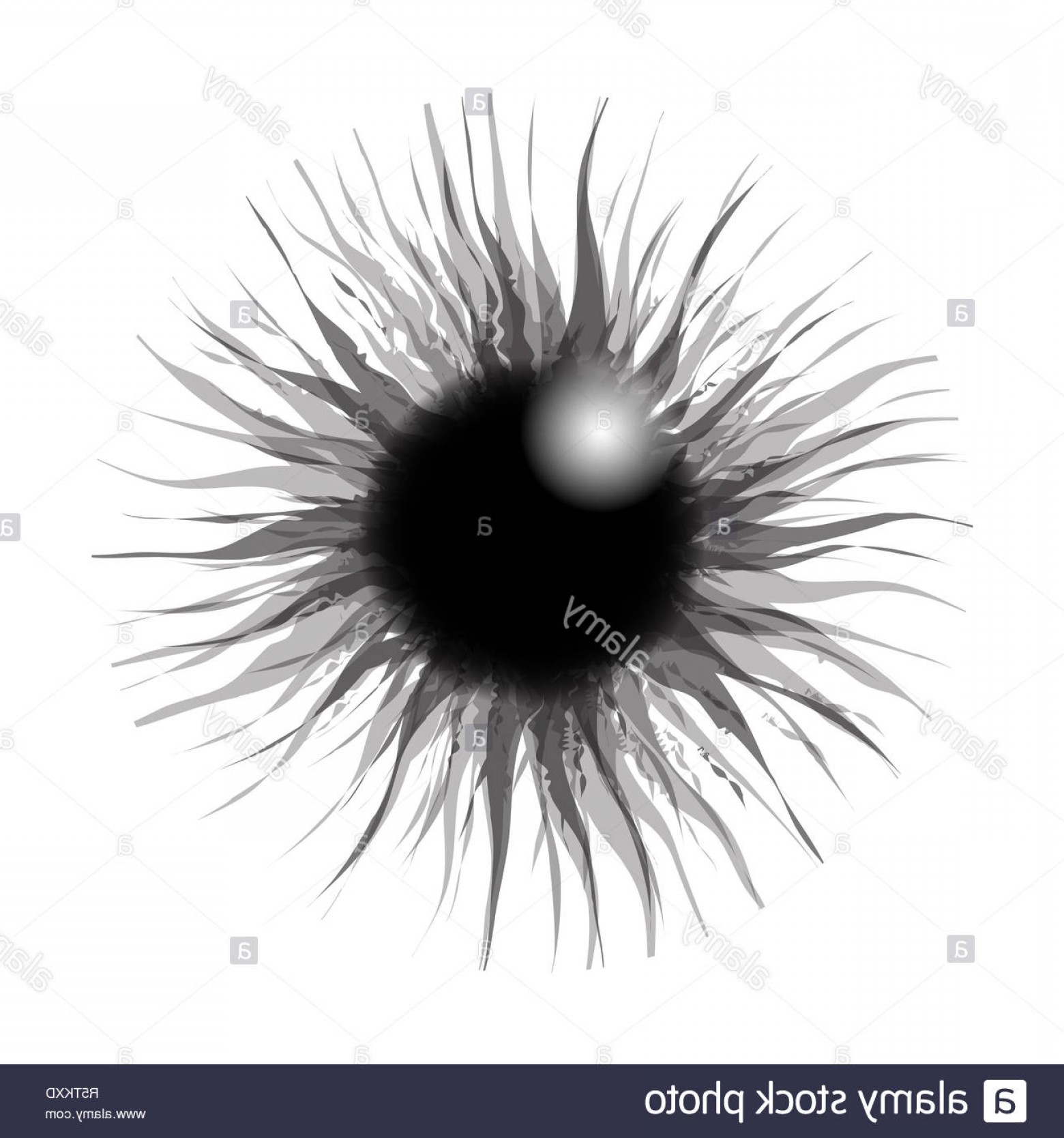 1560x1668 Texture Of Pupil Of The Eye Eye Ball Iris Eye Black And White