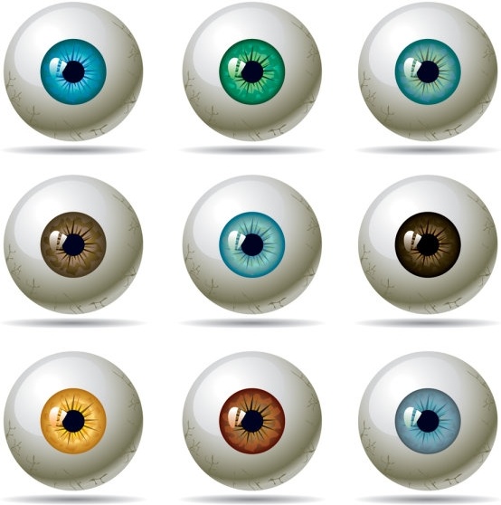 554x558 Uspupil Of The Eye Vector Free Vector In Adobe Illustrator
