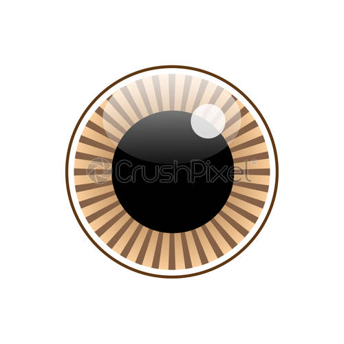 500x500 Vector Sign Eye, Iris, Stock Vector Crushpixel