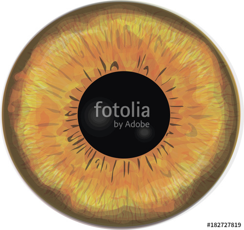 500x472 Werewolf's Eye Iris