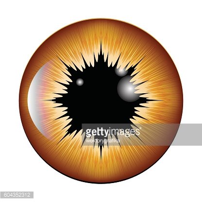 416x416 Eye, Pupil, Iris, Vector Symbol Icon Beautiful Illustrat Premium