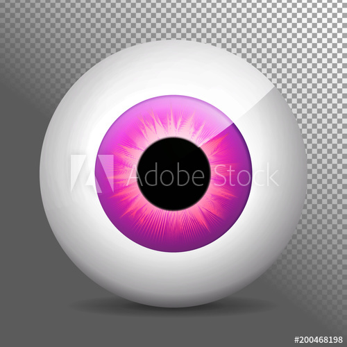 500x500 Eye, Purple Realistic Violet Eyeball Vector Illustration Real
