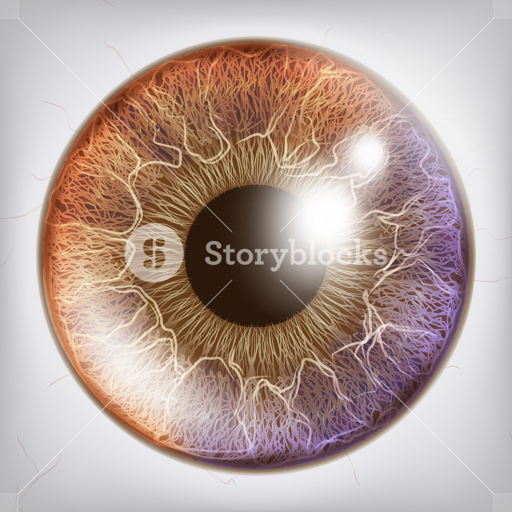 1000x1000 Eye Iris Realistic Vector Anatomy Concept Illustration Royalty