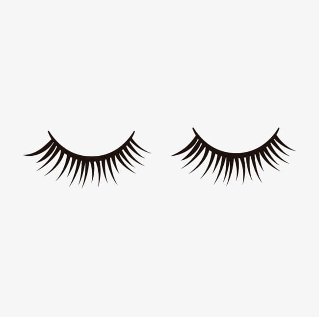 650x647 False Eyelashes Material Png, Clipart, Eyelash, Eyelashes Vector