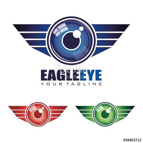 500x500 Eye Logo With Wings On Both Sides Vector Illustration Isolated