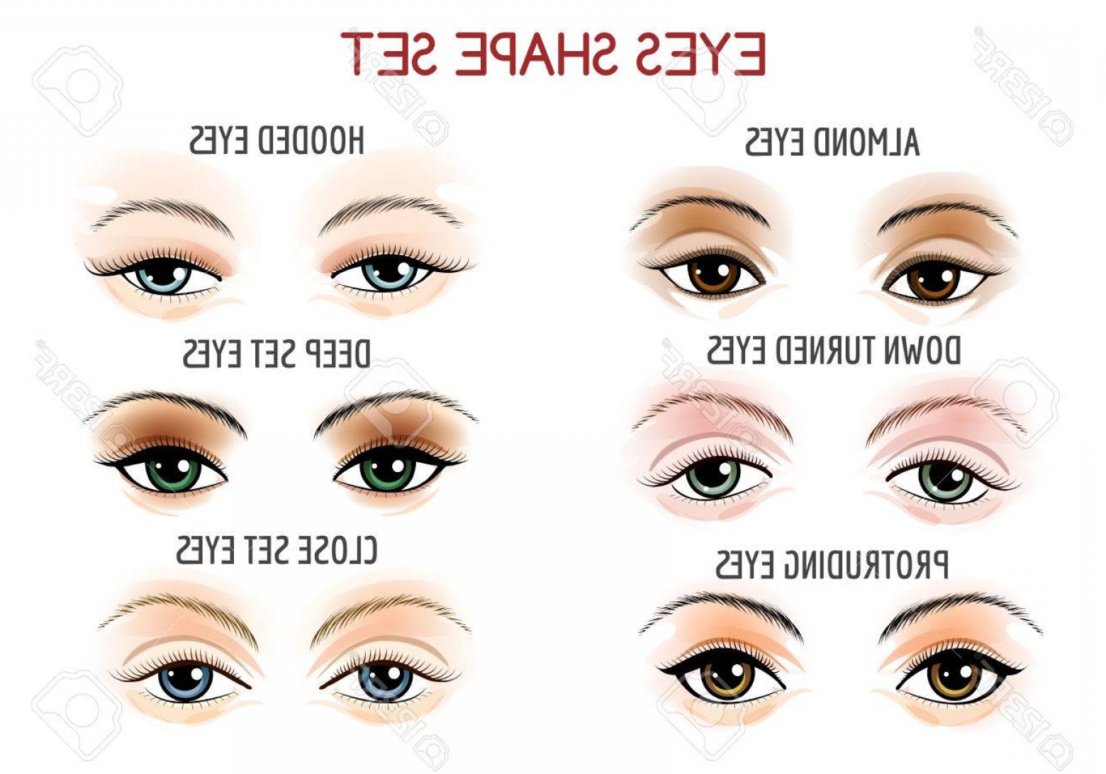 Photostock Vector Set Of Eyes Shape Different Shapes Close Set 1560x1092 Photostock Vector Set Of Eyes Shape Different Shapes Close Set