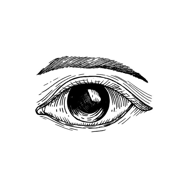 626x626 Eye Vectors, Photos And Free Download