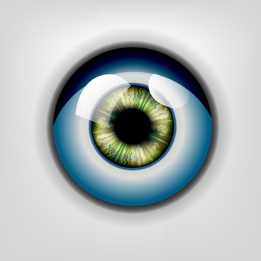 368x368 Realistic Eyes Vector Free Vector Download