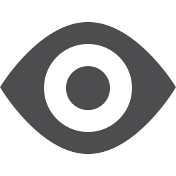 256x256 Eye Vector Icon Download Iconic Icons Iconspedia