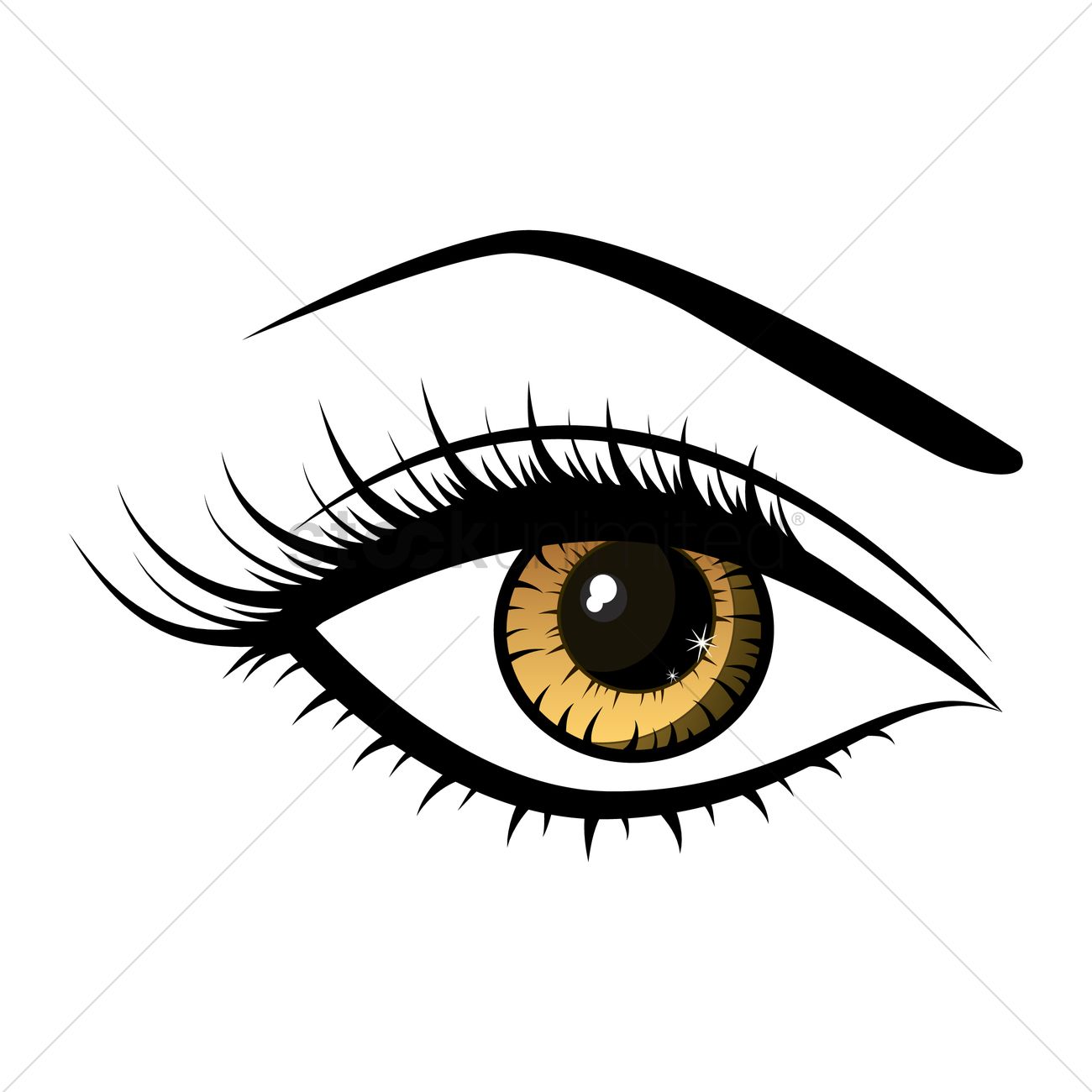 1300x1300 Beautiful Female Eye Vector Image