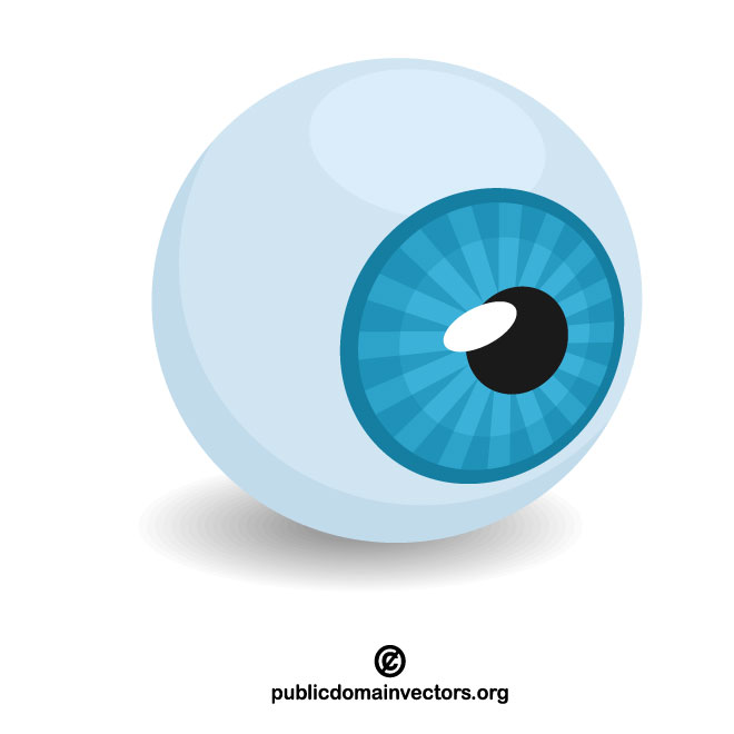 660x660 Eyeball Vector Clip Art
