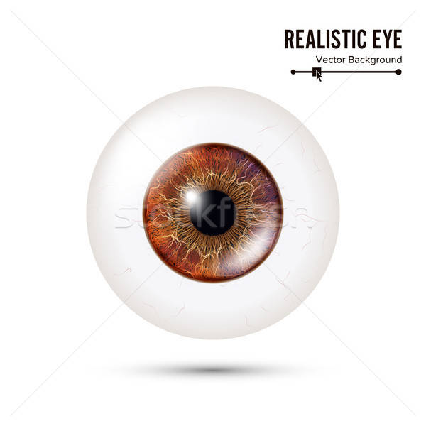 600x600 Realistic Detailed Human Eyeball Vector Illustration Vector