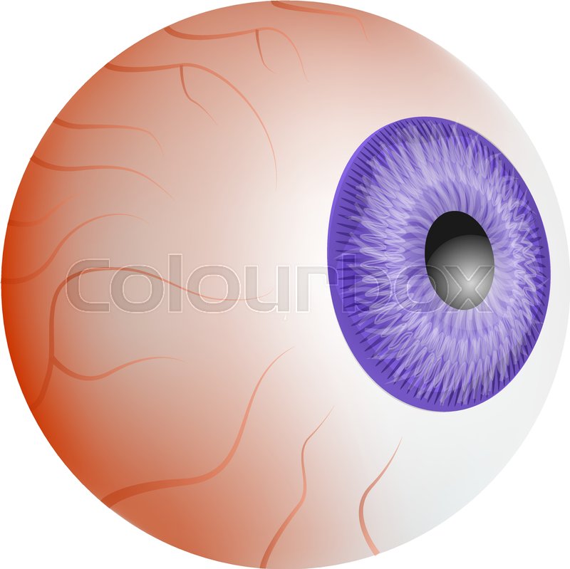 800x799 Tired Eyeball Mockup Realistic Stock Vector Colourbox
